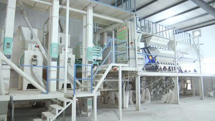 “碰網觸電”拓銷路，黃陂大米借力電商升級設備銷售