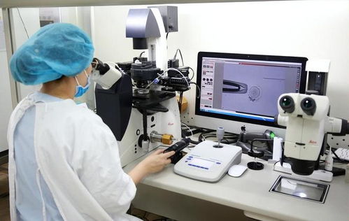 走進(jìn)海外輔助生殖BRG的背后 以技術(shù)服務(wù)共展生殖新愿景——浙江實(shí)踐